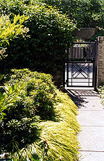 A Denny Blaine Garden