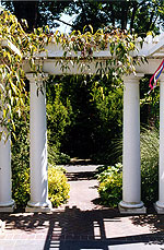 A Denny Blaine Garden