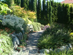 A Laurelhurst Hillside Garden