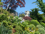 A Laurelhurst Hillside Garden