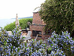 A Blue Ridge Garden