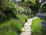 A Blue Ridge Garden