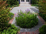 A Blue Ridge Garden