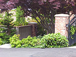 A Blue Ridge Garden