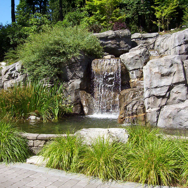 Landscape Picture