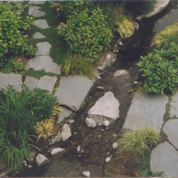 Landscape Picture